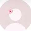 imaanee.3