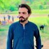 saiba.gull5