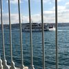deniz_03_gezgmail.com