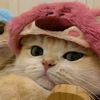 shafiyyah..sepi