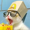 lonelyblackcat73