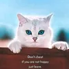 asad_rajput.07