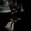 straydreamss