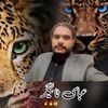 hassan.abbasi762