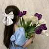 shahd.sh522