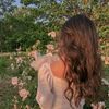 user092311764