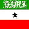abdulalaziz.gaas