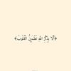 masal_975_92