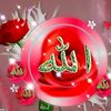 user925238868186