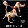 nkeeiabaydno1337