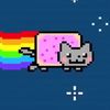gato35372536