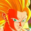 goku.8298