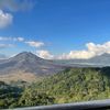 triana.purnama6