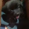 khanh_chi090