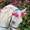 beshan861418bbaa123456