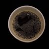 a_s1231230