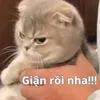 huychuchu8