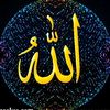 wael.tartoossi