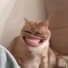 sammynemy