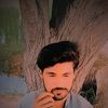 rana.ali3272