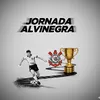 jornadaalvinegra77