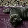 arslan_chik228