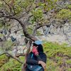 libursetiapharii