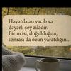 ali_seymur313