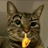 dat_q6