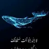 azar_jamal