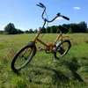 dominik46361