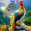 user965734401528