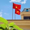 Thắm Tin Tức