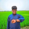 rx.nasim19