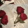 saruyar..hasan..r