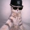 pny_yaya