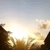 aduanebarbosa751