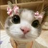 username_4589369