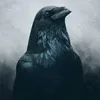 ابو علي || الشتبوستر المخضرم🦍