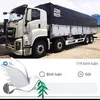 em.l.ca.anh600
