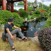 danghongquanbds