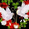 bsma.maged
