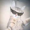 senz_25ygy