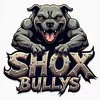 shoxbullys_dave