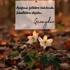 filiz.guneri