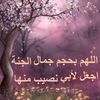 areen.elfellah