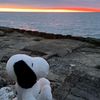 victoria._1513