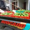 gegergunawan0