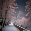 user.fscf
