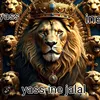 yassinejalal1